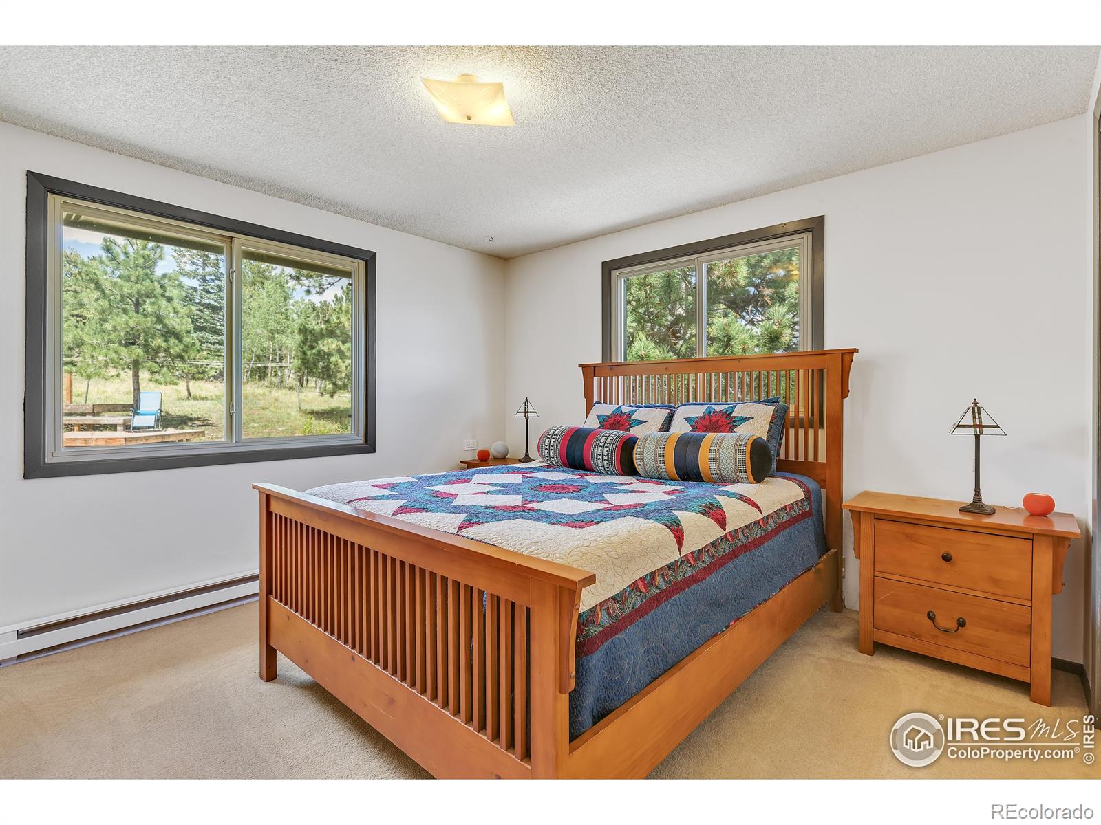MLS Image #11 for 7224  magnolia drive,nederland, Colorado