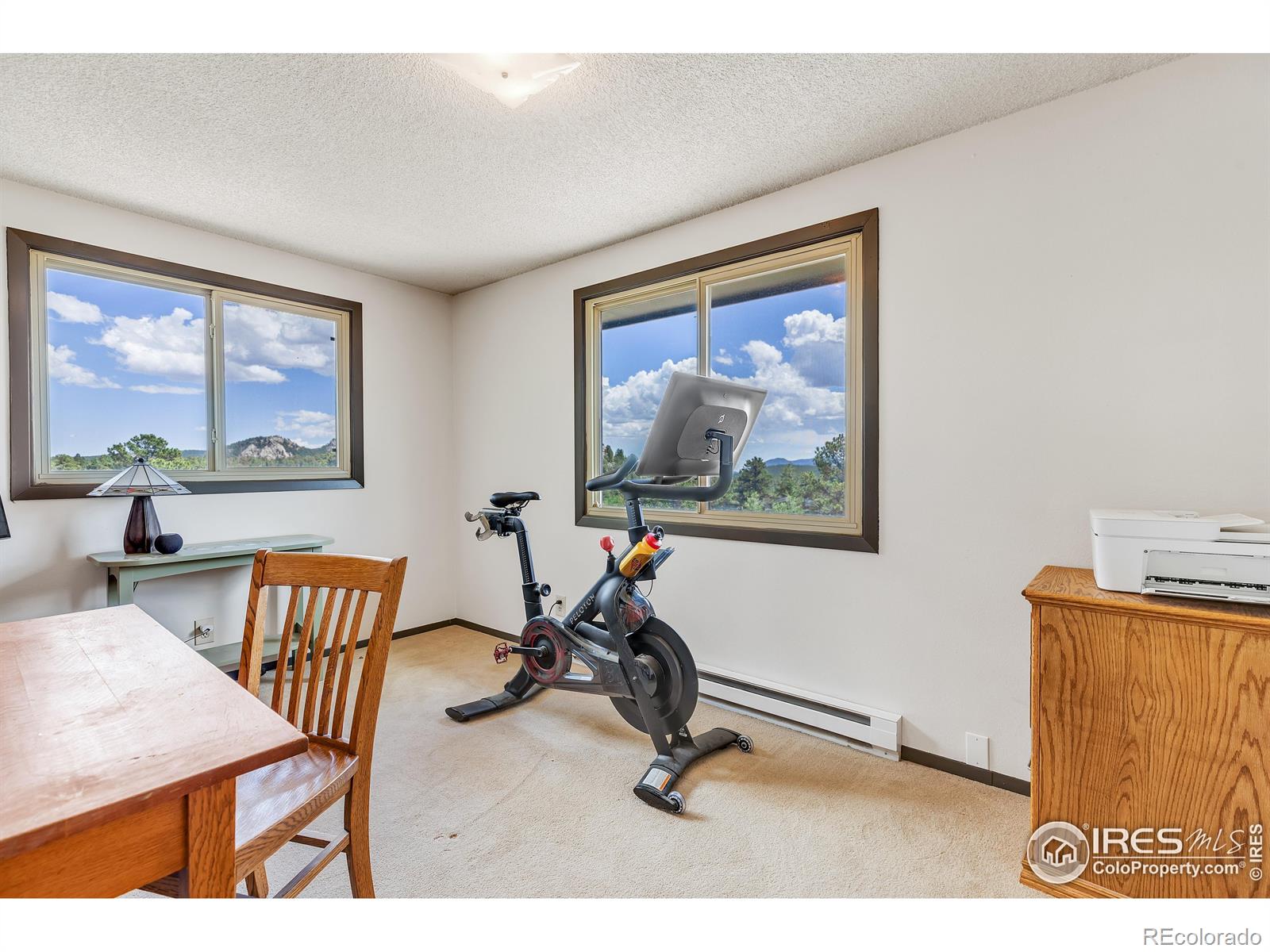 MLS Image #13 for 7224  magnolia drive,nederland, Colorado