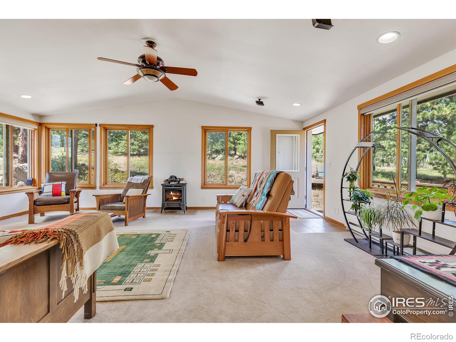 MLS Image #3 for 7224  magnolia drive,nederland, Colorado