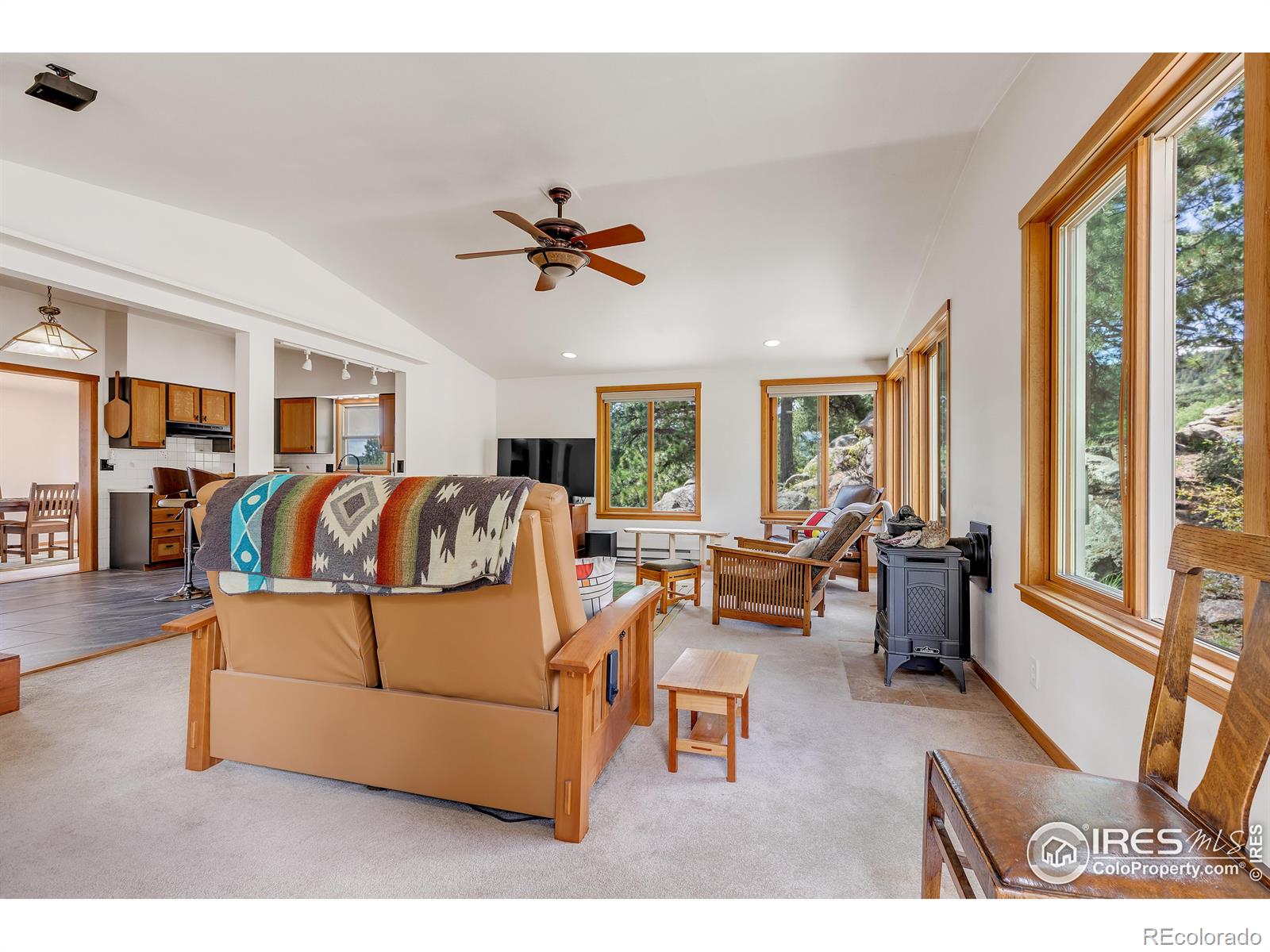 MLS Image #4 for 7224  magnolia drive,nederland, Colorado