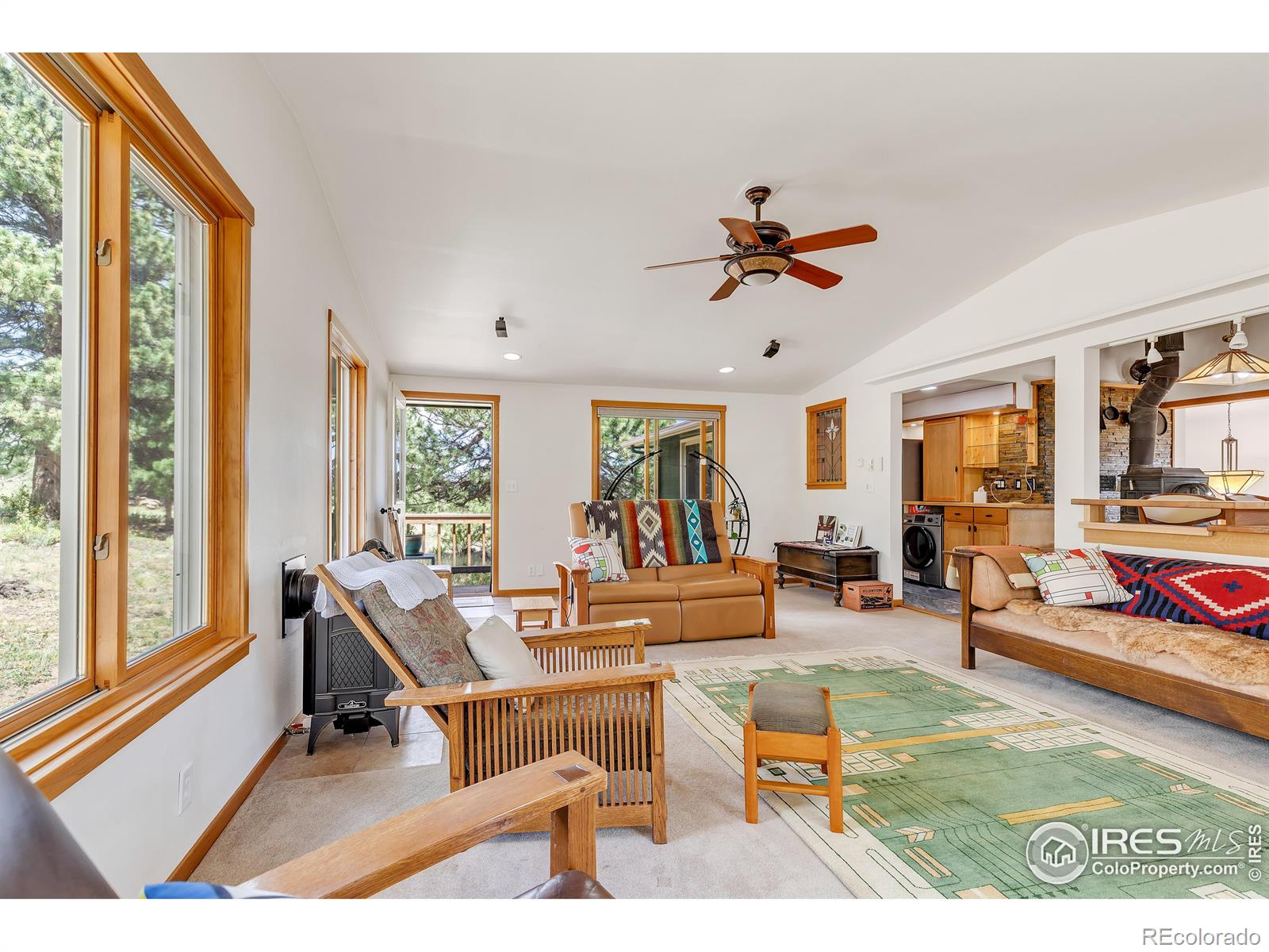 MLS Image #5 for 7224  magnolia drive,nederland, Colorado