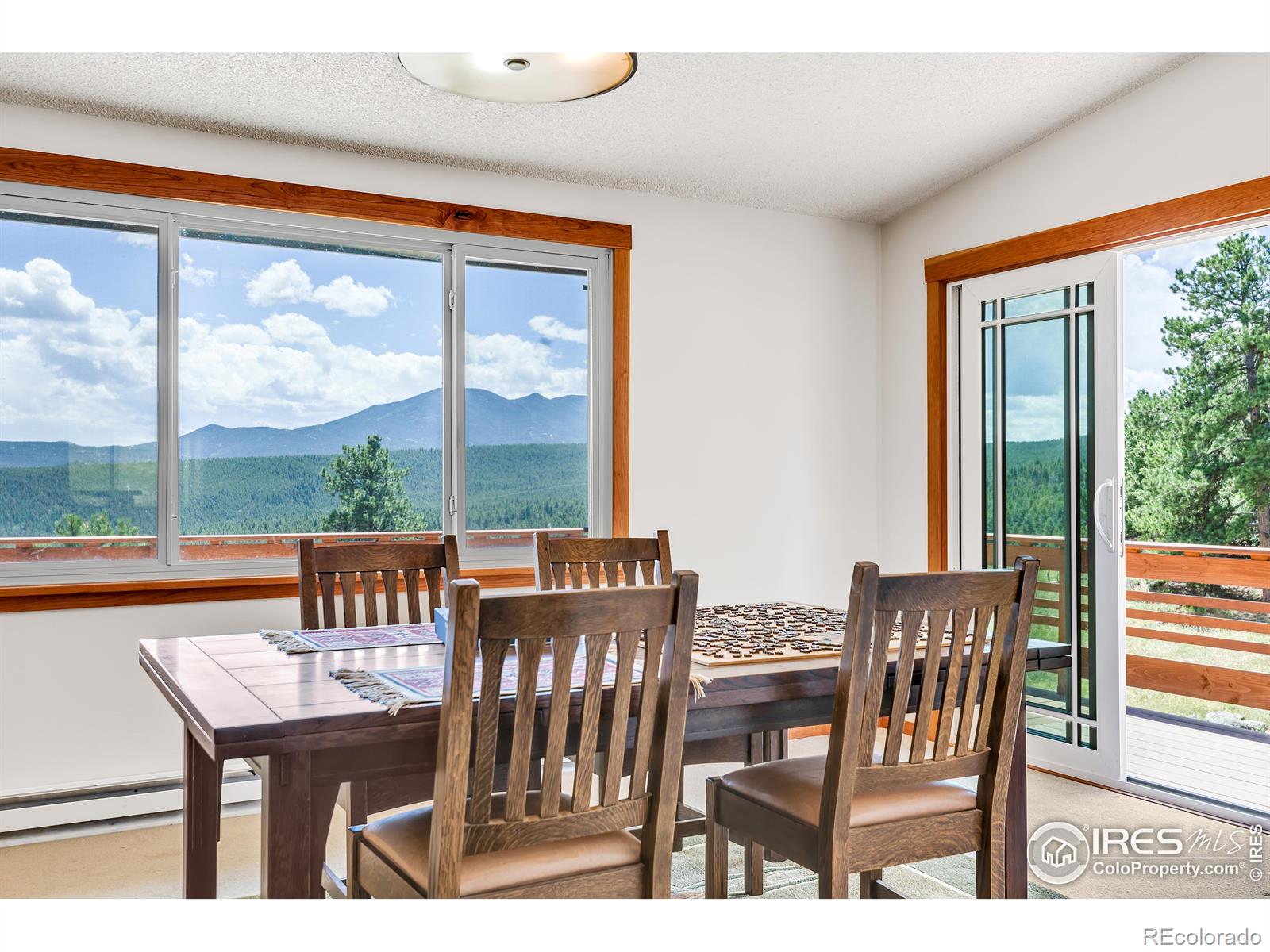MLS Image #8 for 7224  magnolia drive,nederland, Colorado