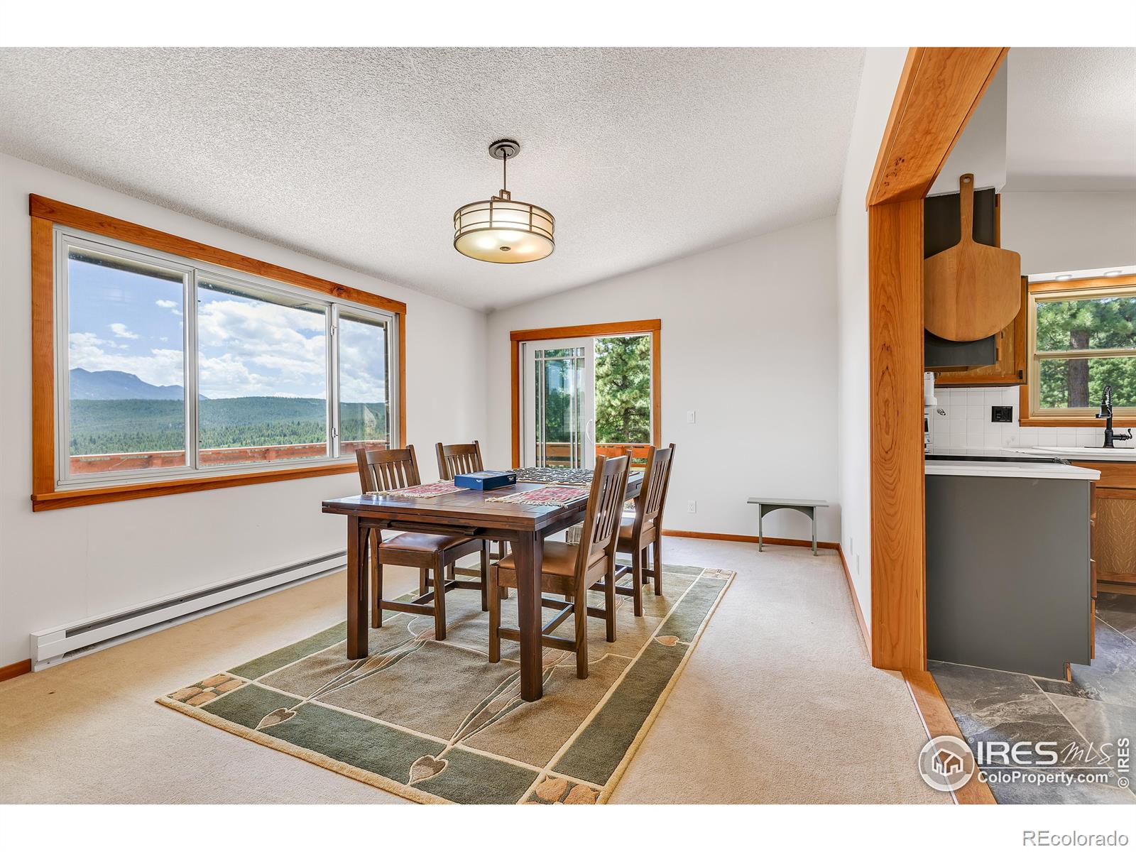 MLS Image #9 for 7224  magnolia drive,nederland, Colorado