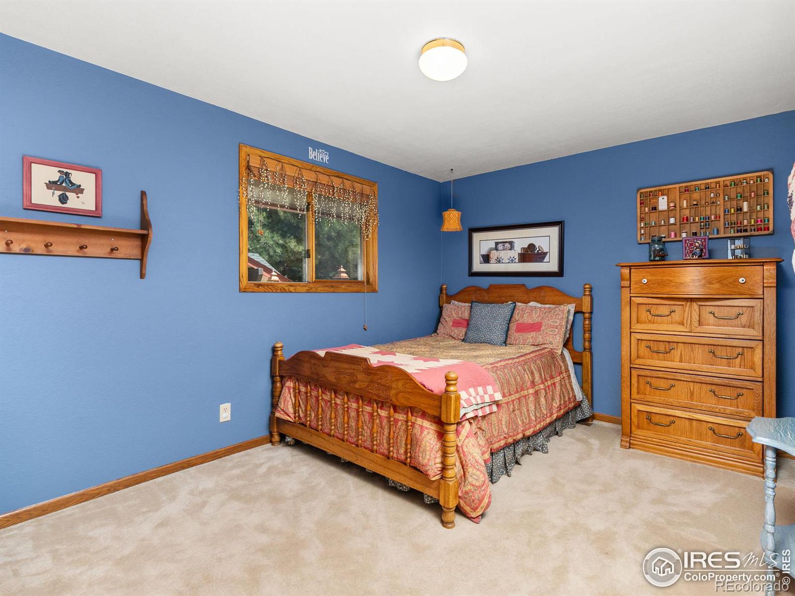 MLS Image #17 for 13581  elmore road,longmont, Colorado