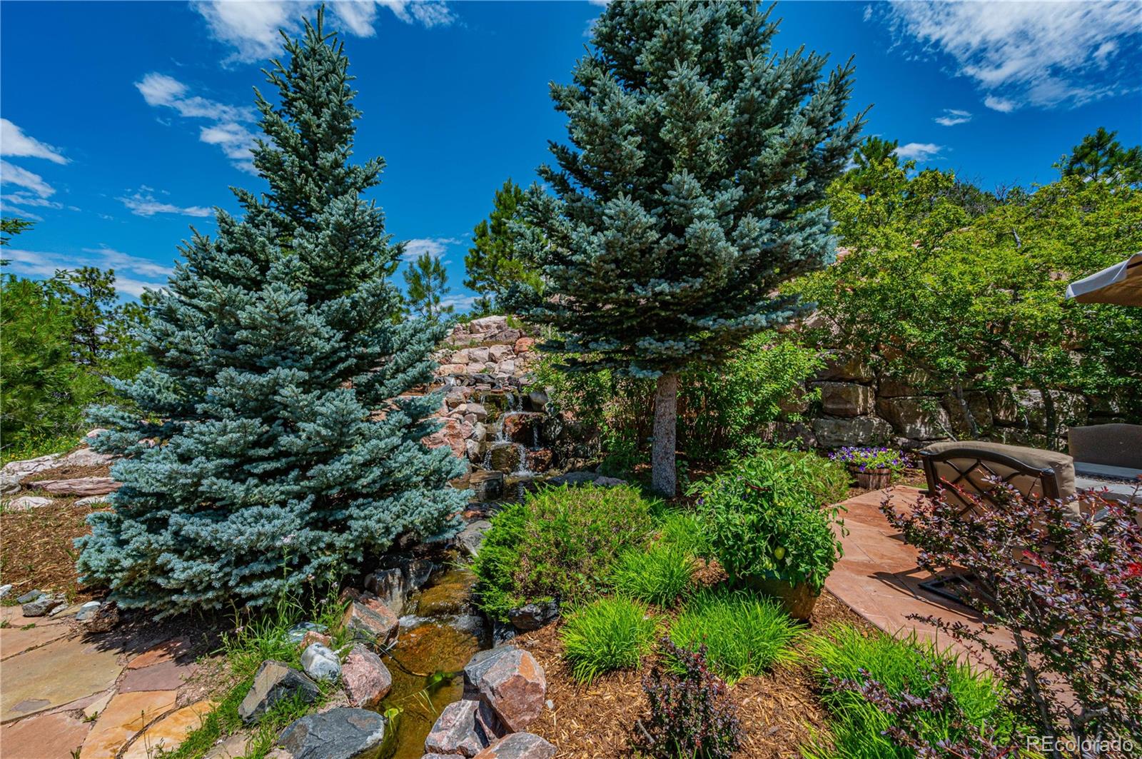 MLS Image #27 for 1193  silverheels drive,larkspur, Colorado