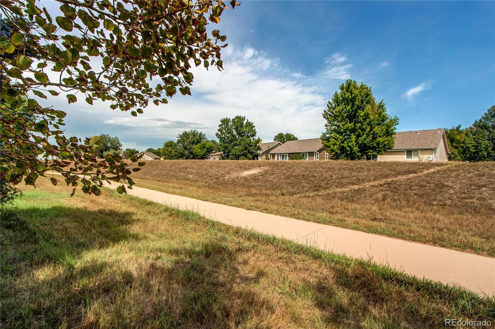 MLS Image #44 for 124  whitney court,windsor, Colorado