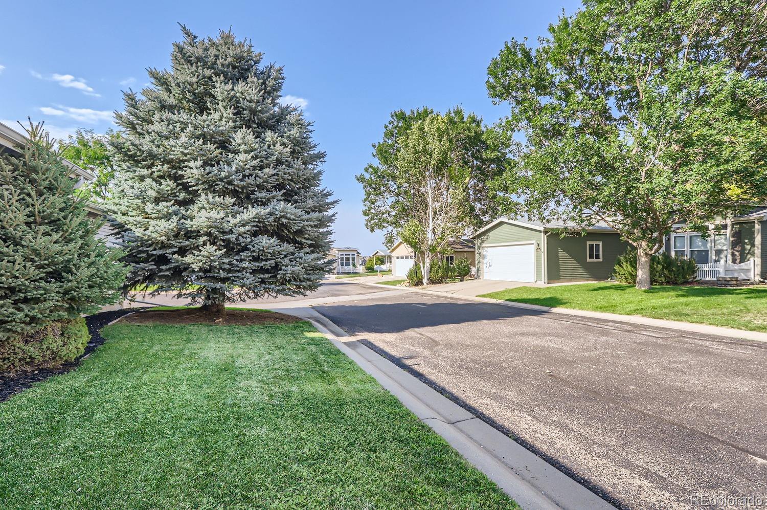 MLS Image #23 for 6365  hollyhock ,frederick, Colorado