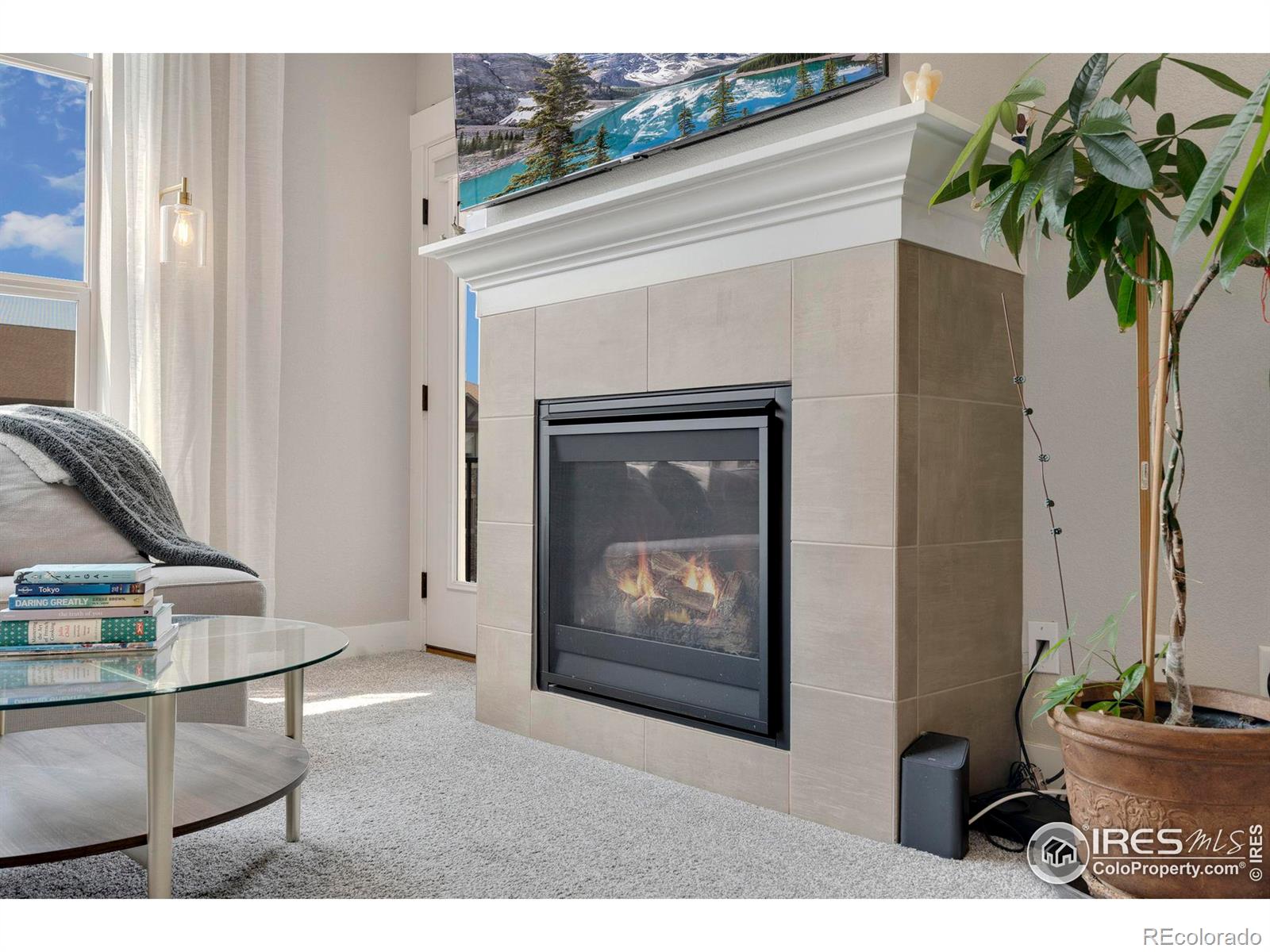 MLS Image #22 for 4780  hahns peak drive,loveland, Colorado
