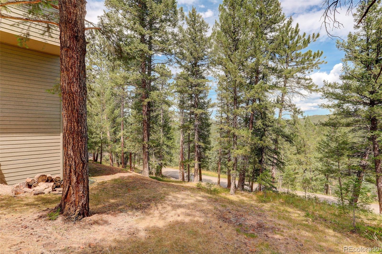 MLS Image #18 for 28182  camel heights circle,evergreen, Colorado