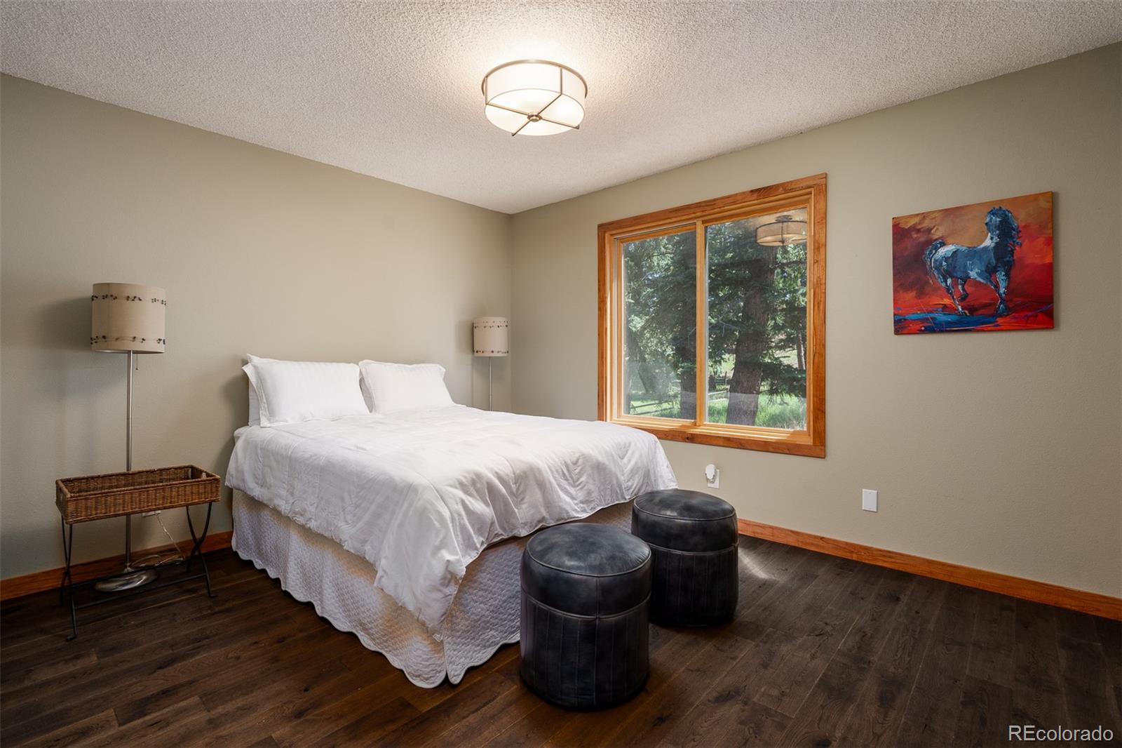 MLS Image #15 for 225  sunnywood lane,woodland park, Colorado