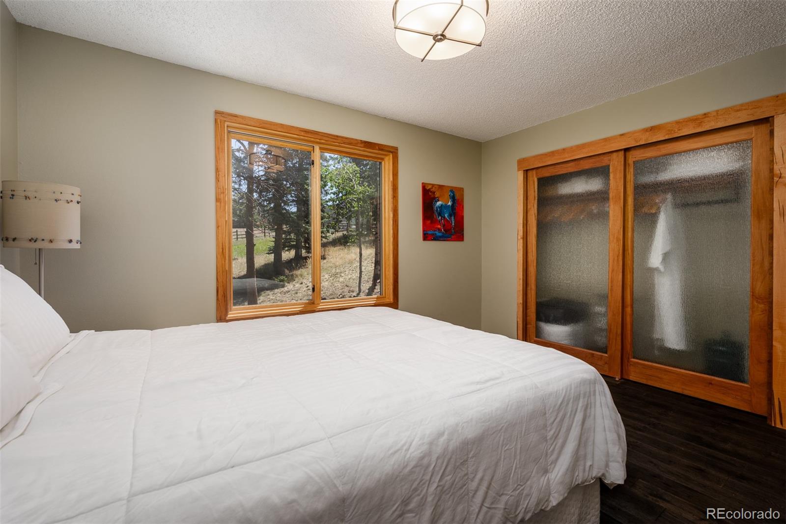 MLS Image #16 for 225  sunnywood lane,woodland park, Colorado