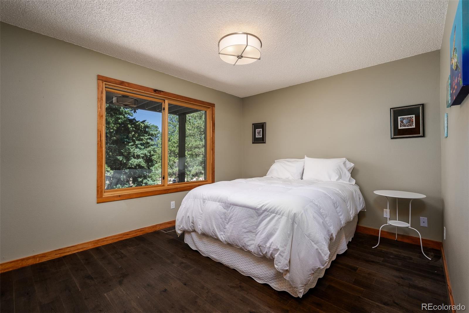 MLS Image #18 for 225  sunnywood lane,woodland park, Colorado