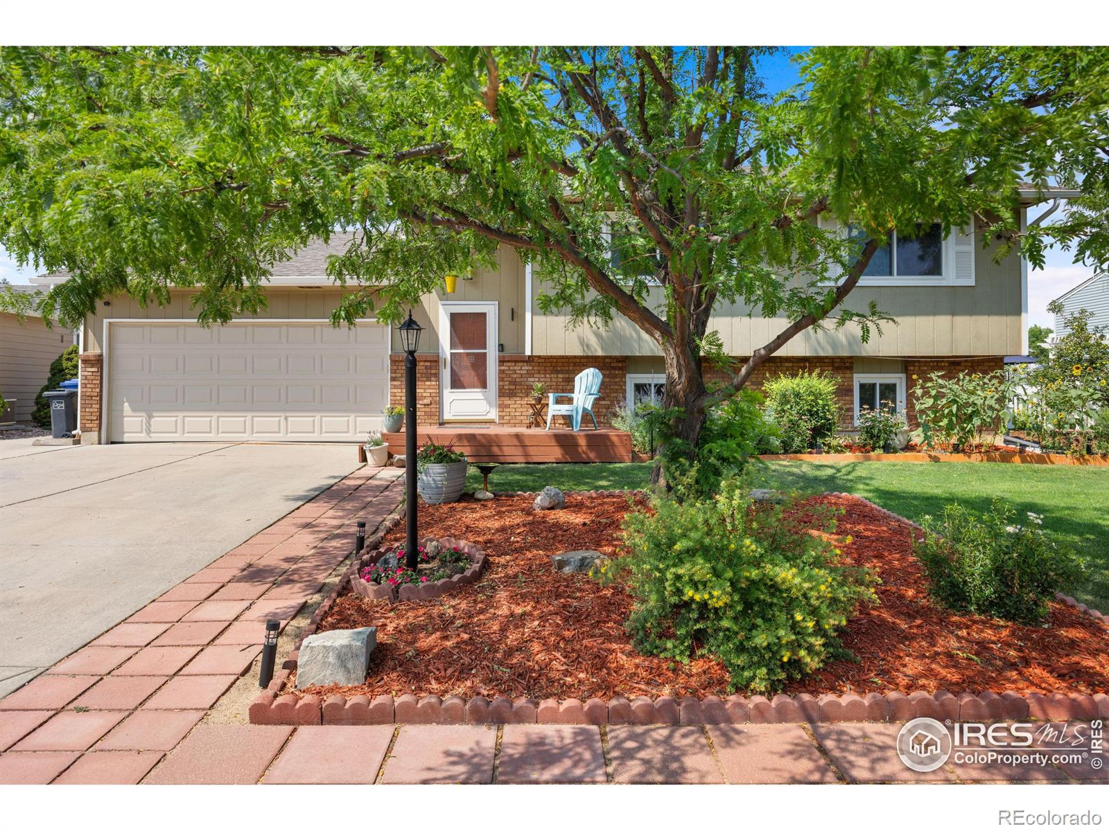 MLS Image #4 for 833  banyan court,loveland, Colorado