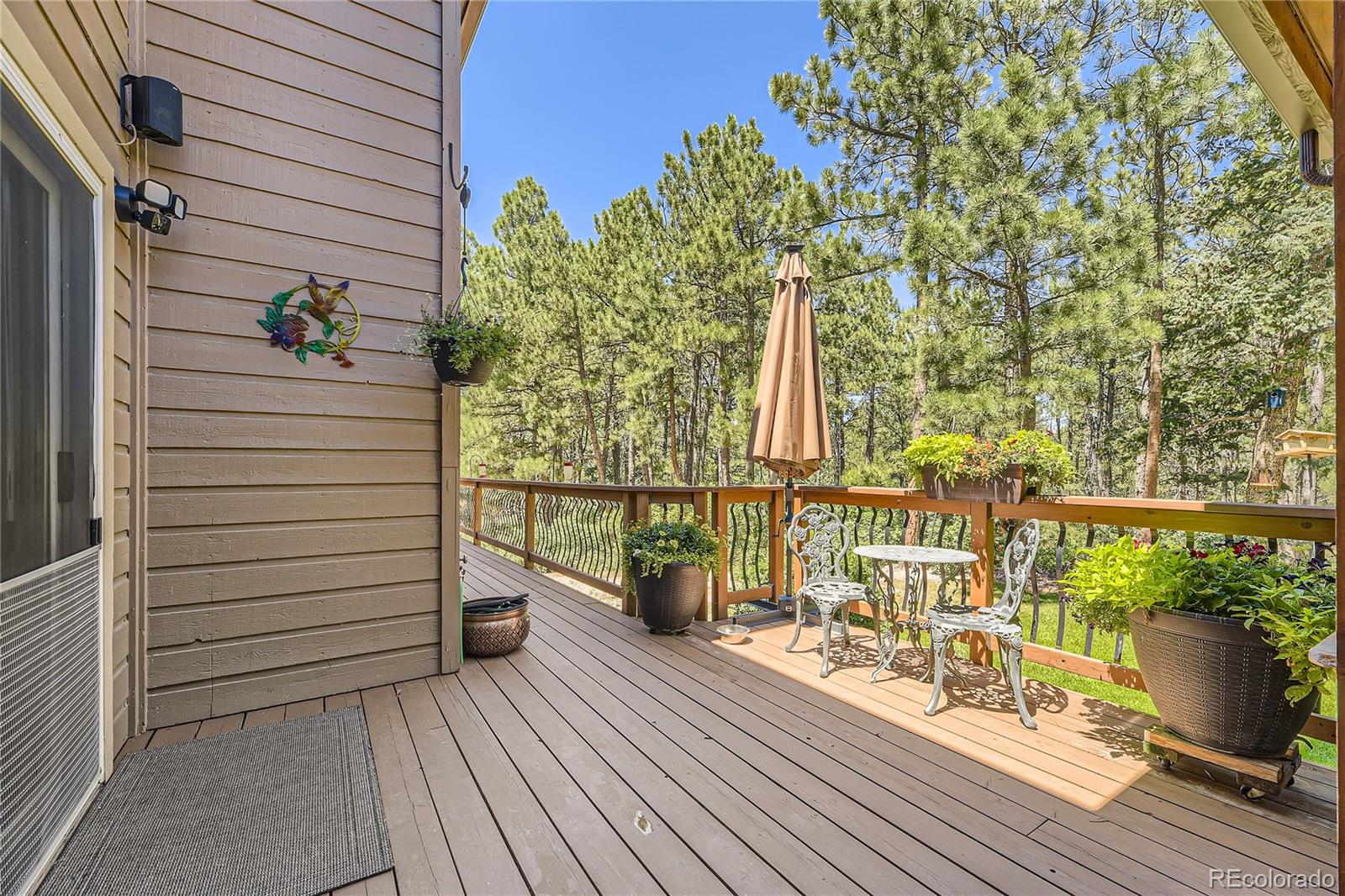 MLS Image #14 for 9626 s perry park road,larkspur, Colorado