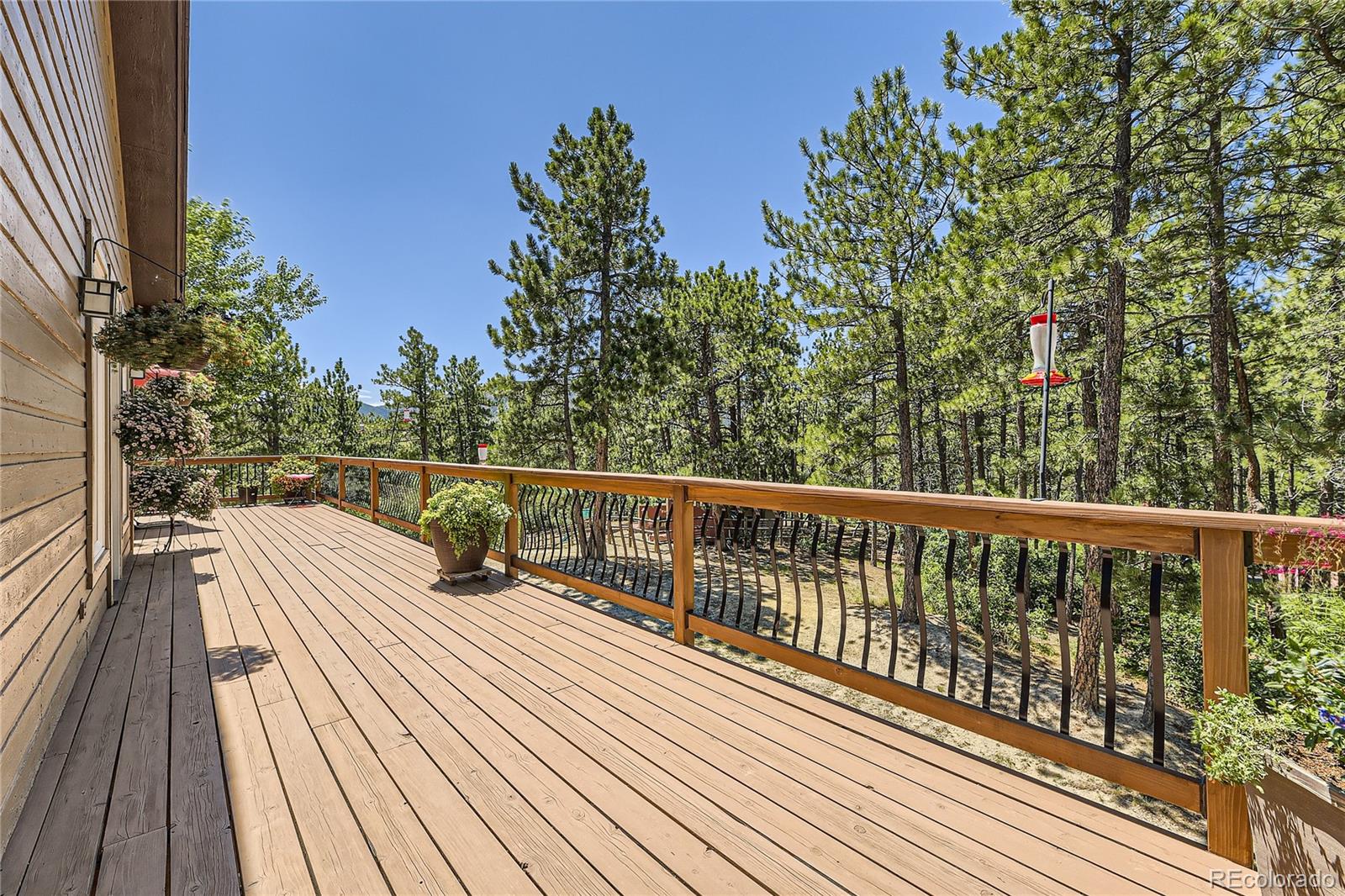 MLS Image #36 for 9626 s perry park road,larkspur, Colorado