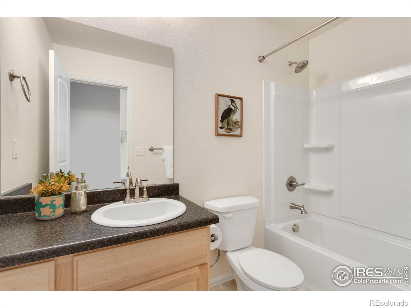 MLS Image #22 for 1013  axis drive,severance, Colorado