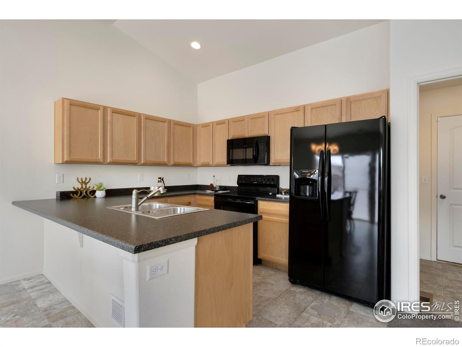 MLS Image #3 for 1013  axis drive,severance, Colorado