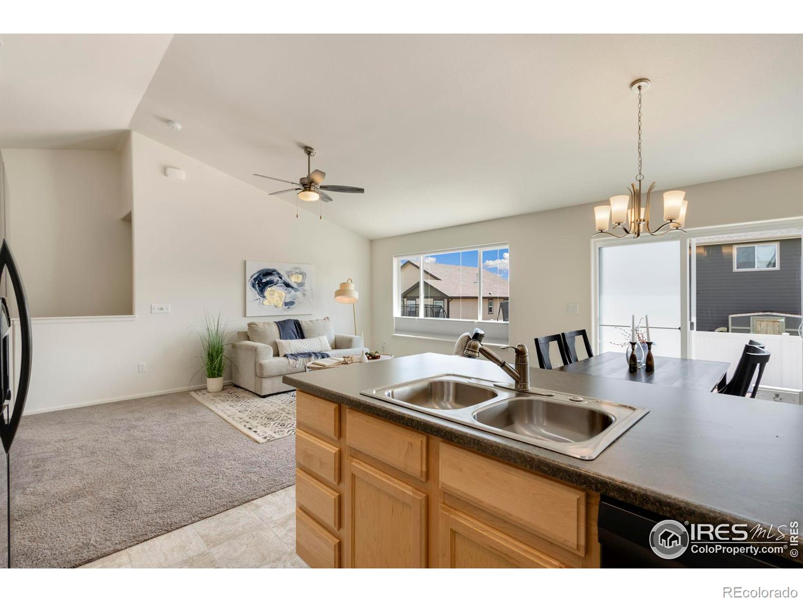 MLS Image #4 for 1013  axis drive,severance, Colorado