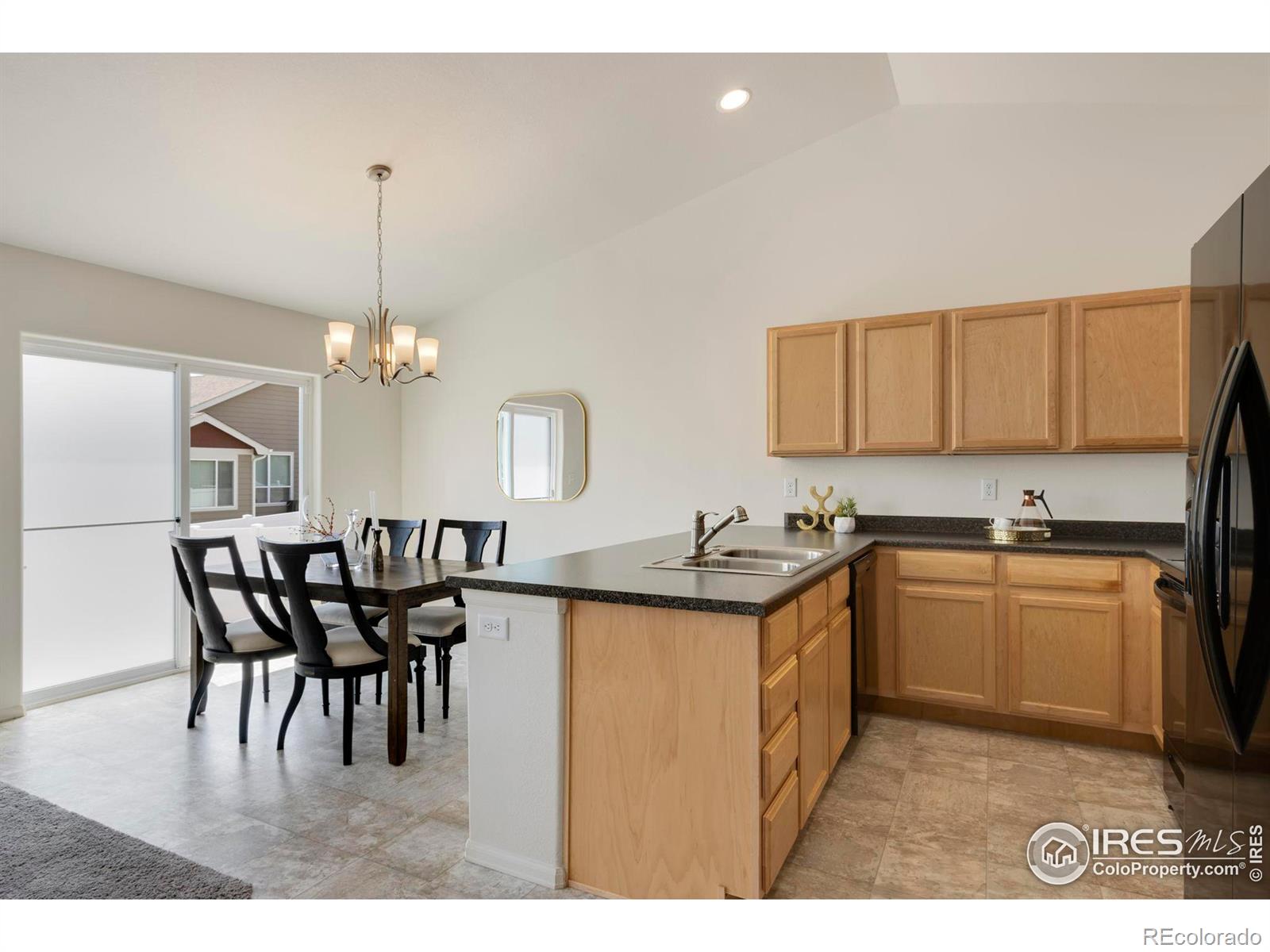 MLS Image #5 for 1013  axis drive,severance, Colorado