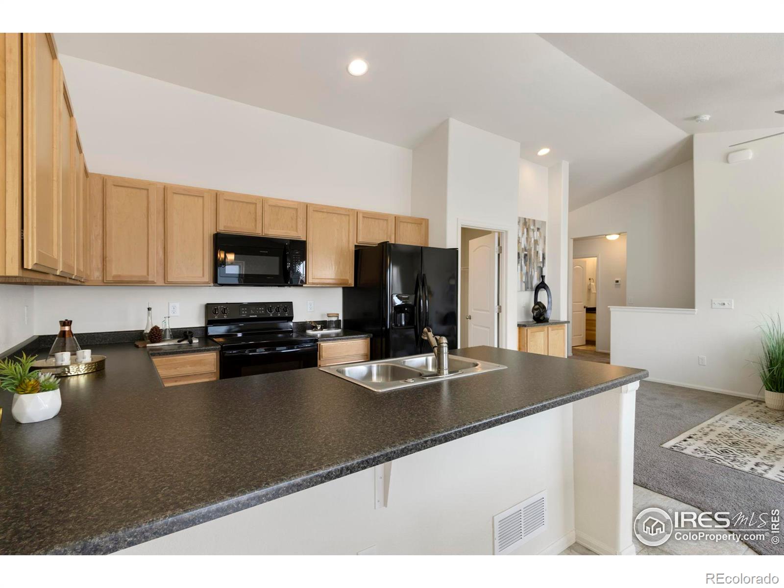 MLS Image #7 for 1013  axis drive,severance, Colorado