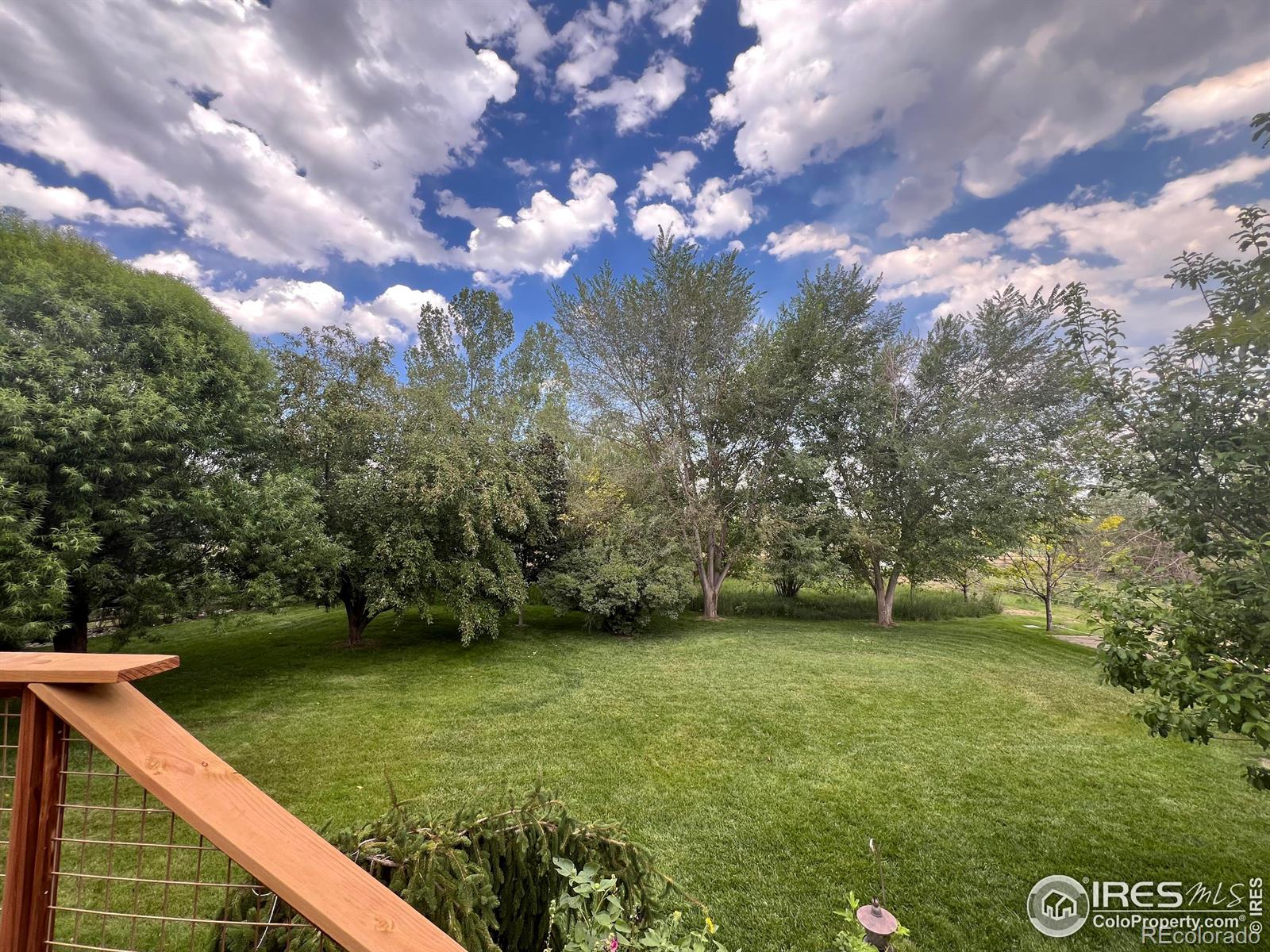 MLS Image #10 for 4612  rosewood drive,loveland, Colorado