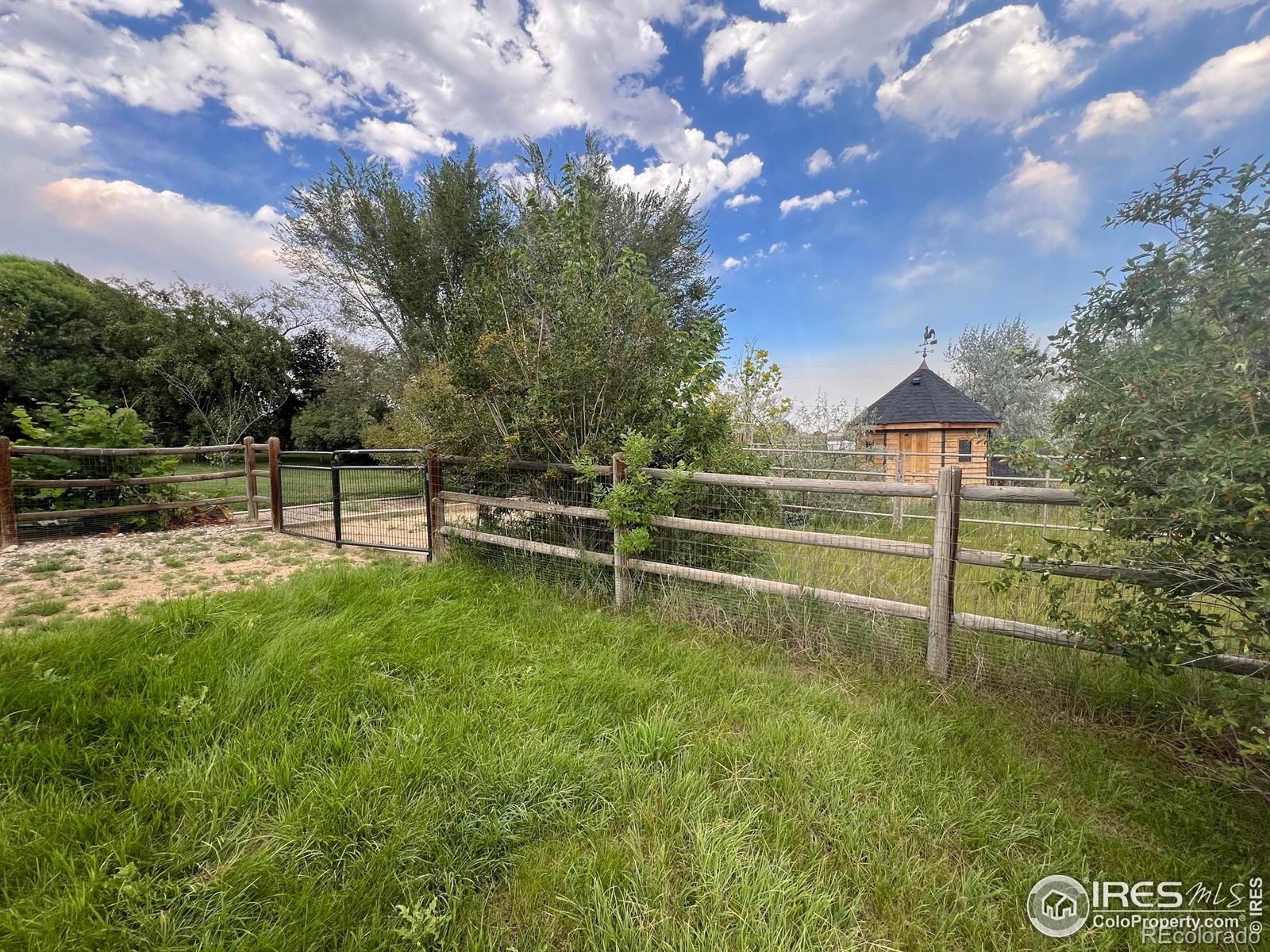 MLS Image #6 for 4612  rosewood drive,loveland, Colorado