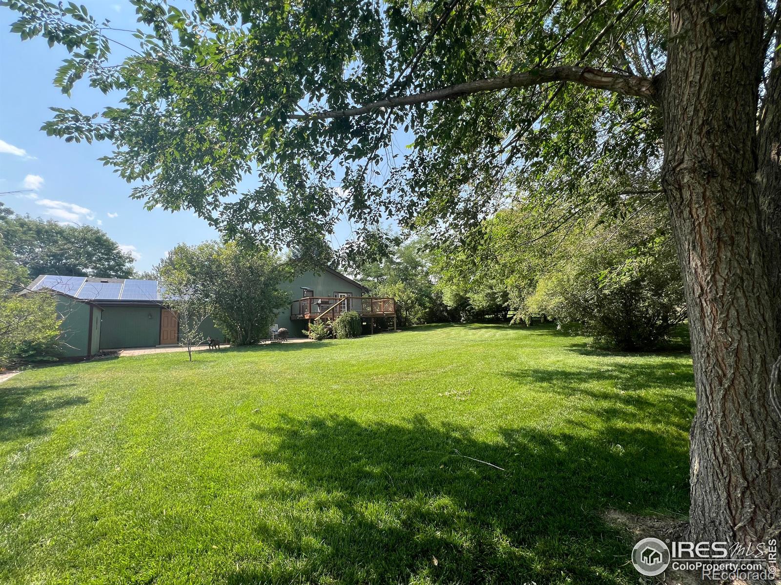 MLS Image #9 for 4612  rosewood drive,loveland, Colorado