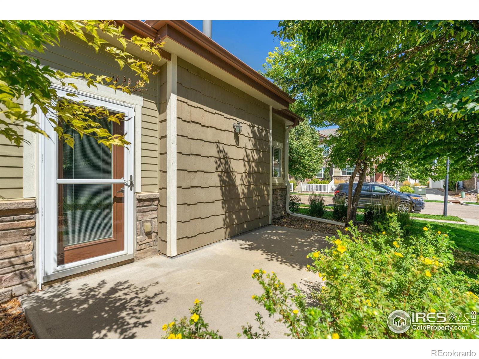 MLS Image #15 for 3903  precision drive,fort collins, Colorado