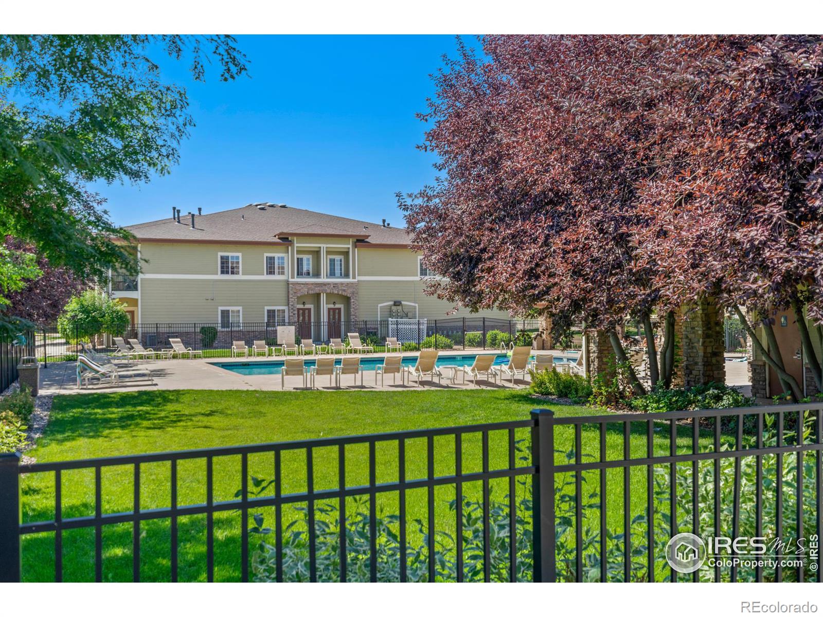 MLS Image #17 for 3903  precision drive,fort collins, Colorado