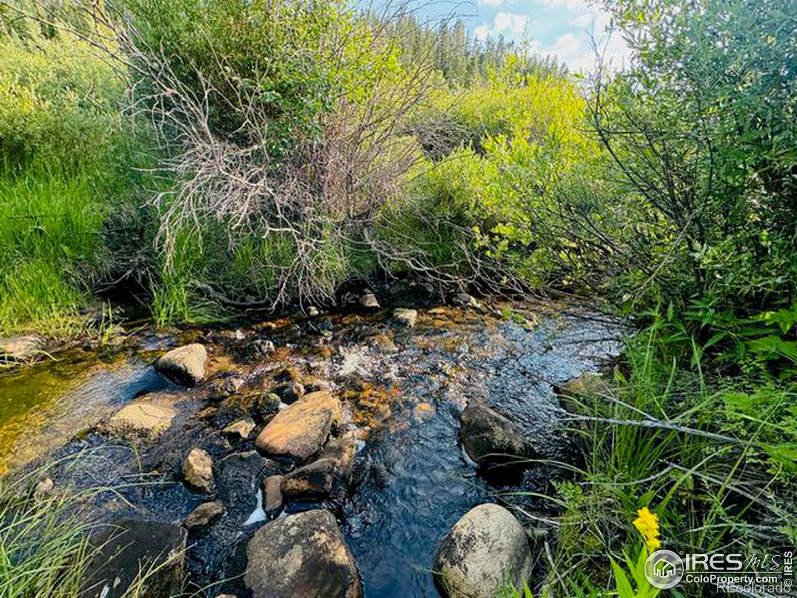 MLS Image #17 for 3400  state highway 127 ,walden, Colorado