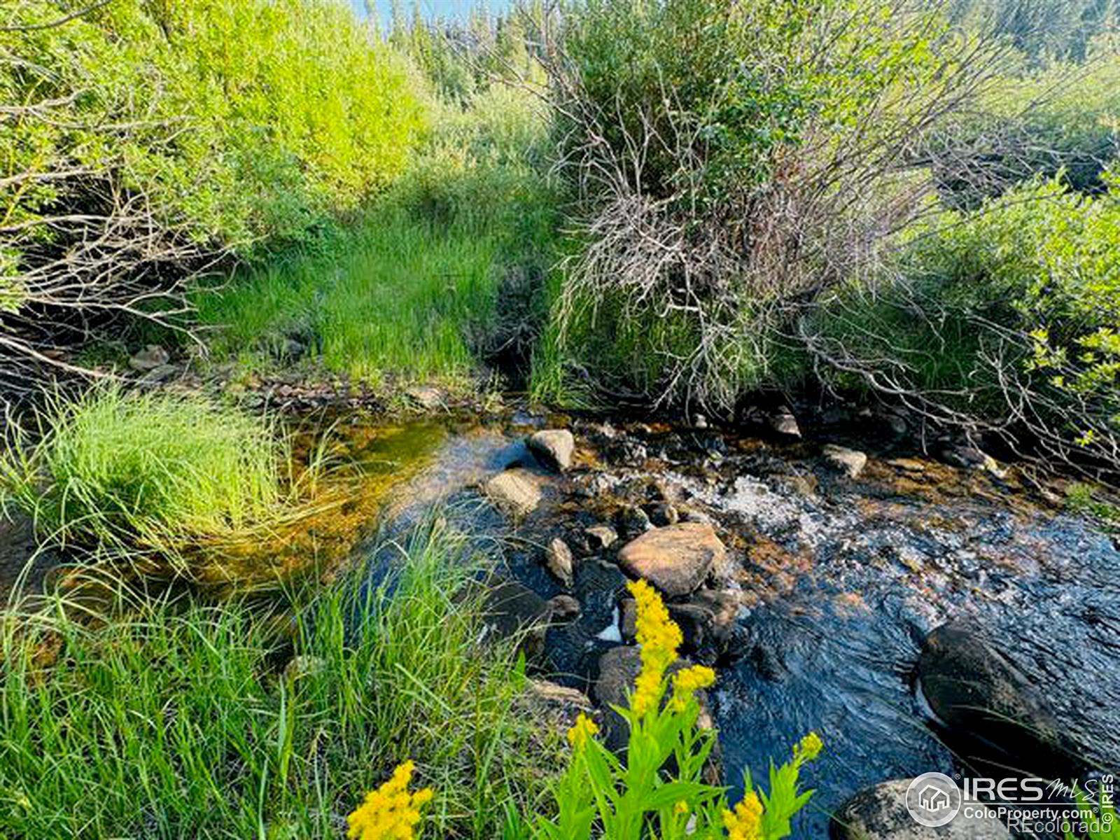 MLS Image #18 for 3400  state highway 127 ,walden, Colorado