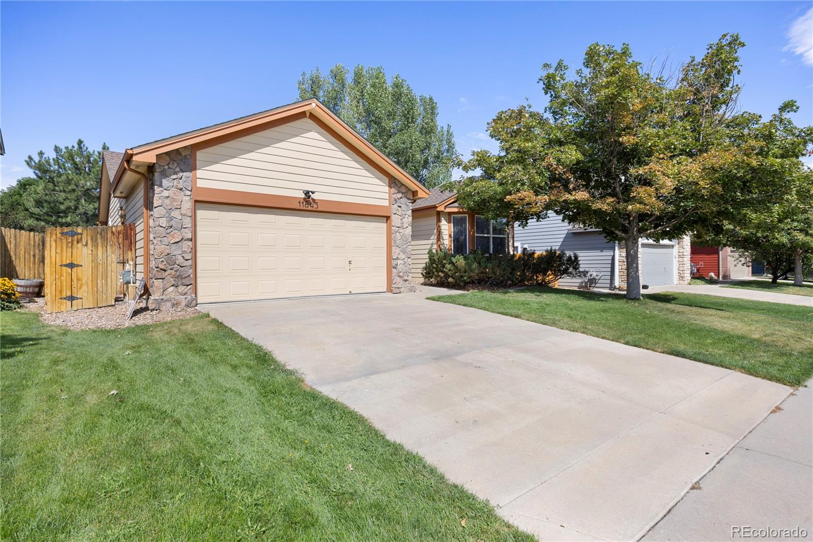 CMA Image for 11819  dahlia drive,Thornton, Colorado