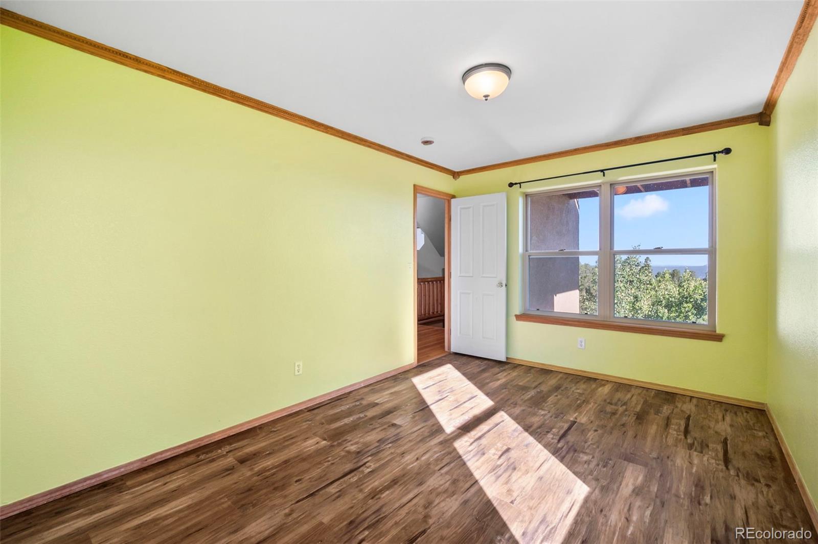 MLS Image #14 for 557  potlatch trail,woodland park, Colorado