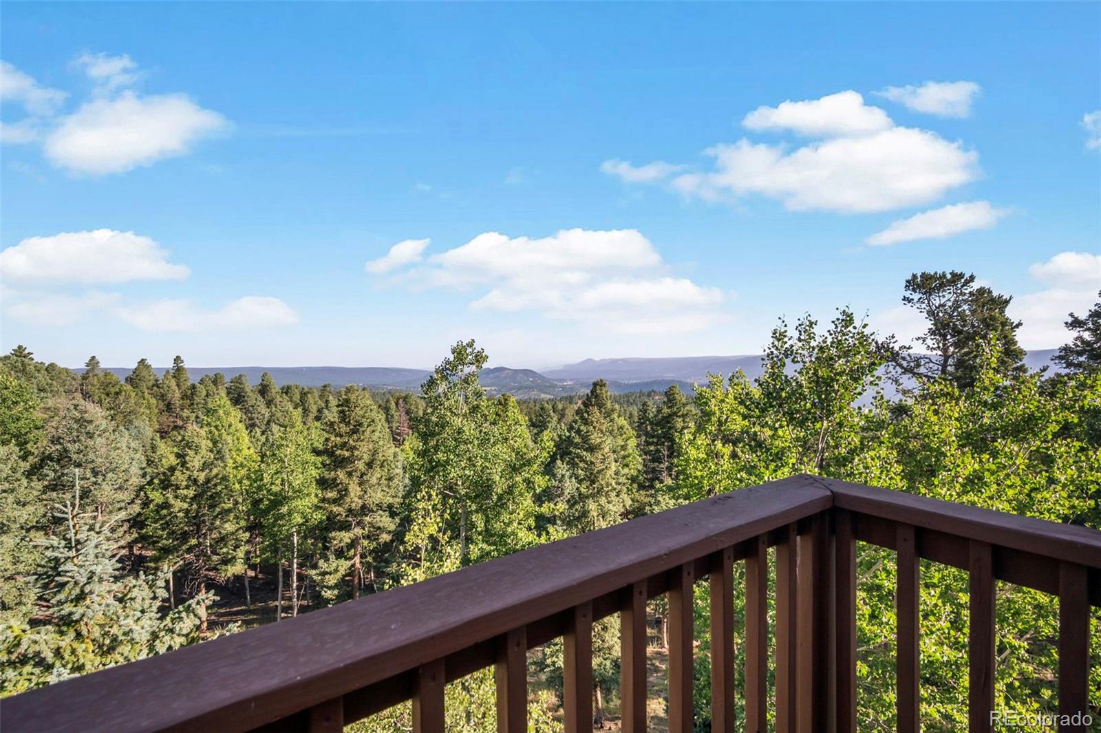 MLS Image #35 for 557  potlatch trail,woodland park, Colorado