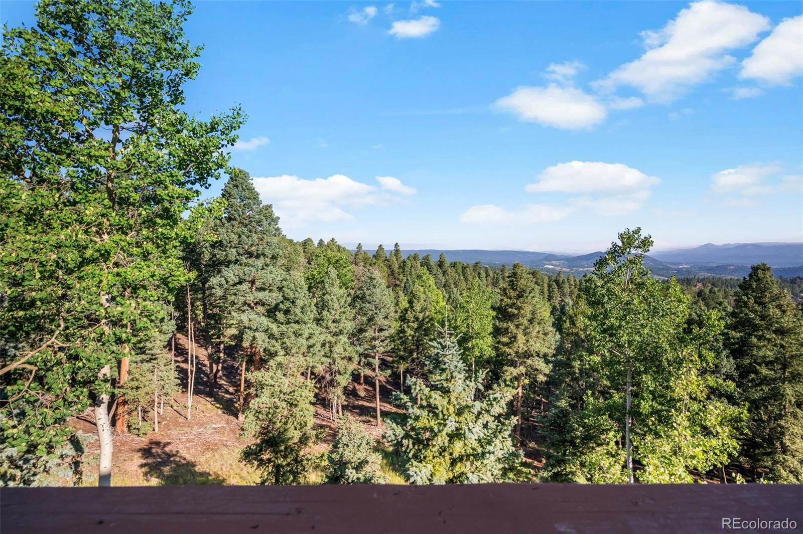 MLS Image #38 for 557  potlatch trail,woodland park, Colorado