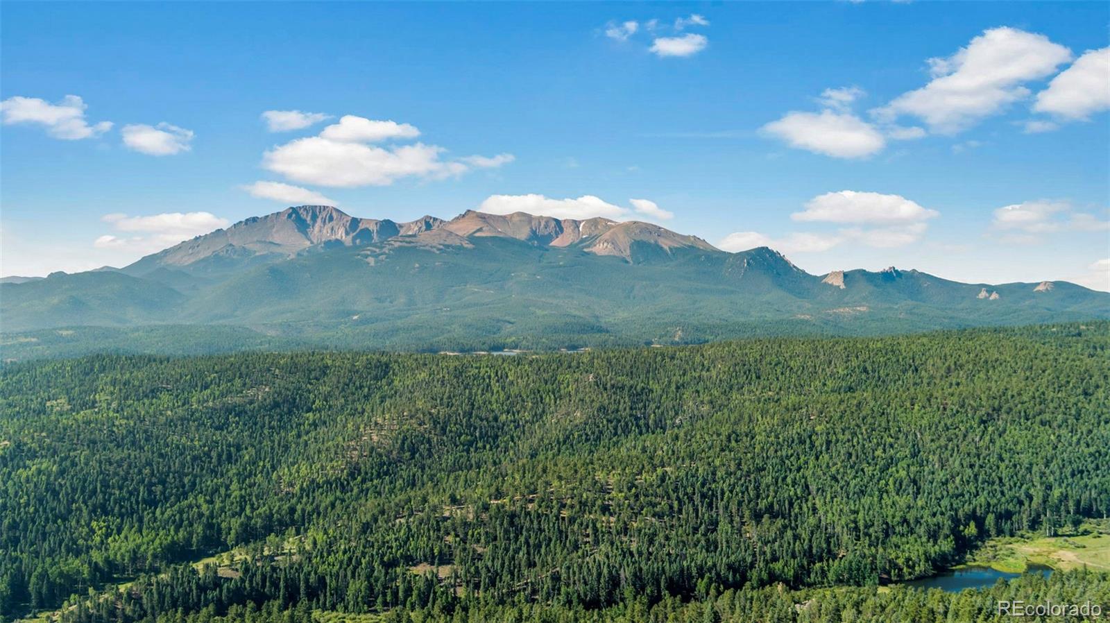 MLS Image #43 for 557  potlatch trail,woodland park, Colorado