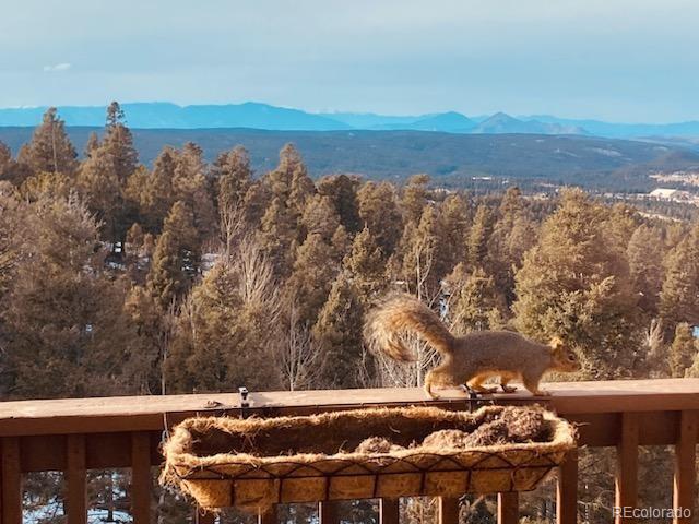 MLS Image #48 for 557  potlatch trail,woodland park, Colorado