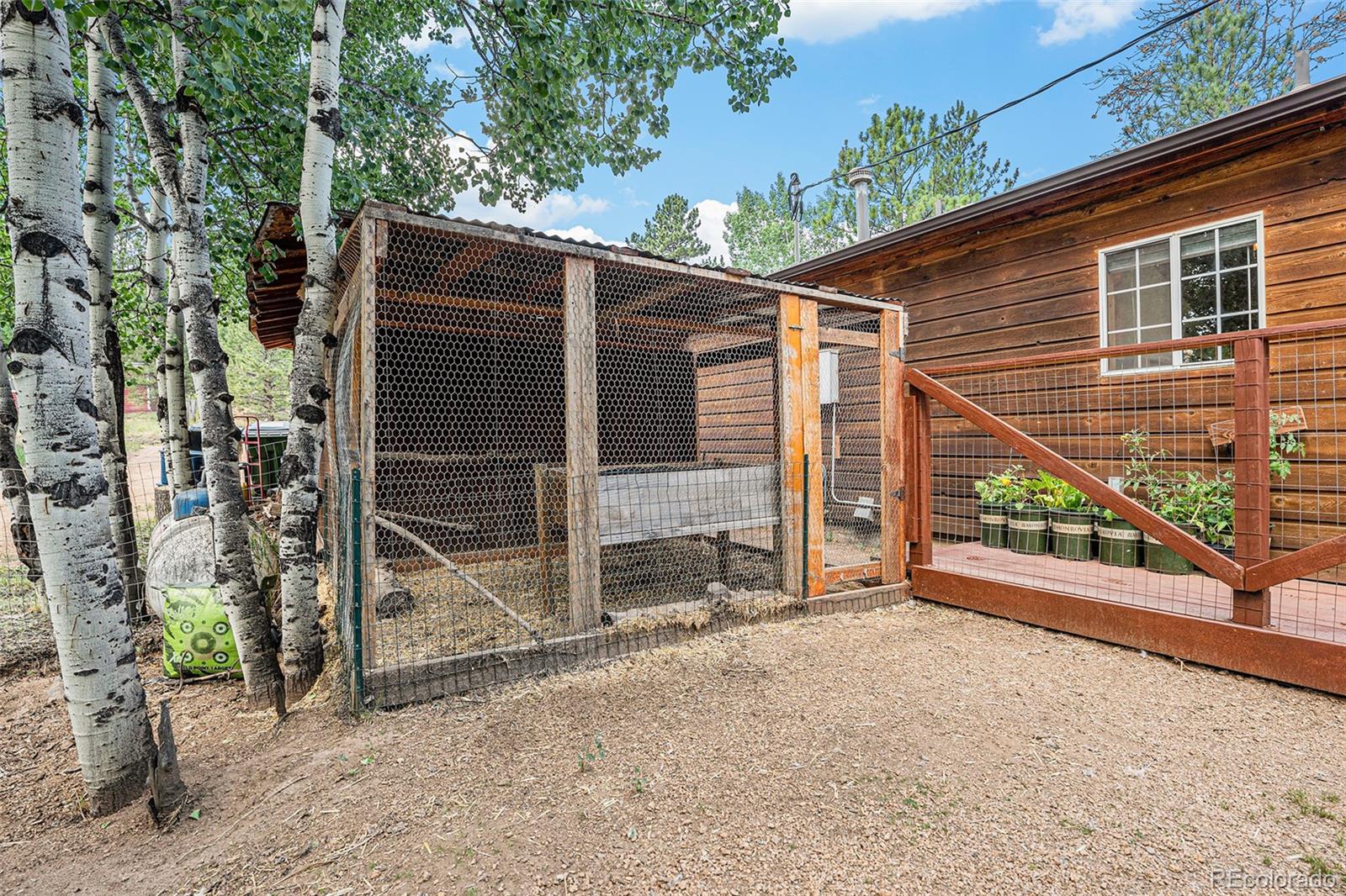 MLS Image #21 for 247  anderson road,bailey, Colorado