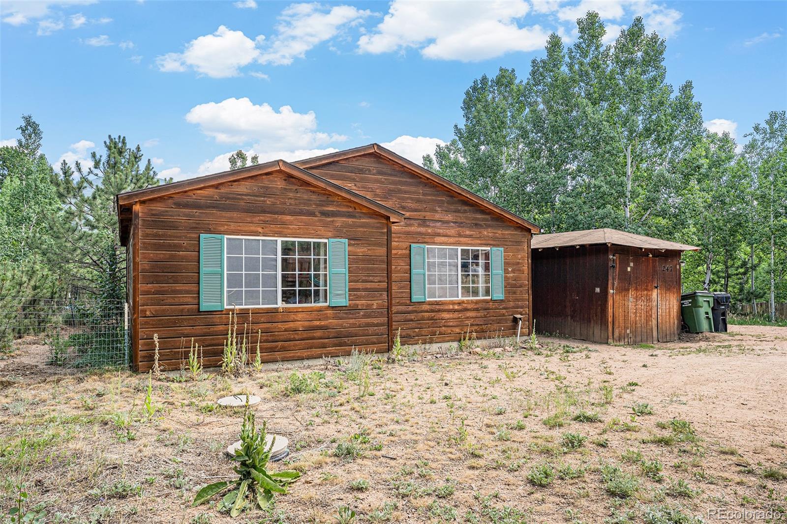 MLS Image #3 for 247  anderson road,bailey, Colorado