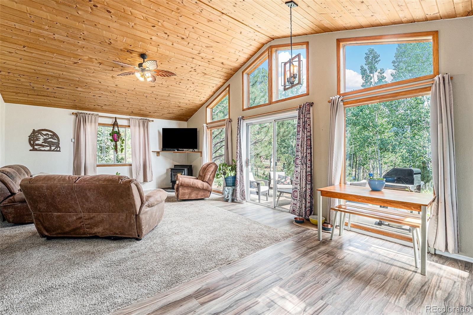 MLS Image #7 for 247  anderson road,bailey, Colorado