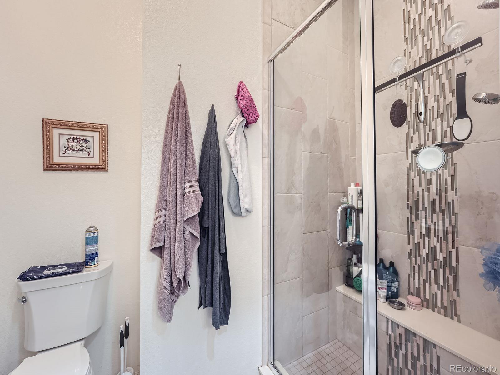 MLS Image #13 for 16579 w 86th place,arvada, Colorado