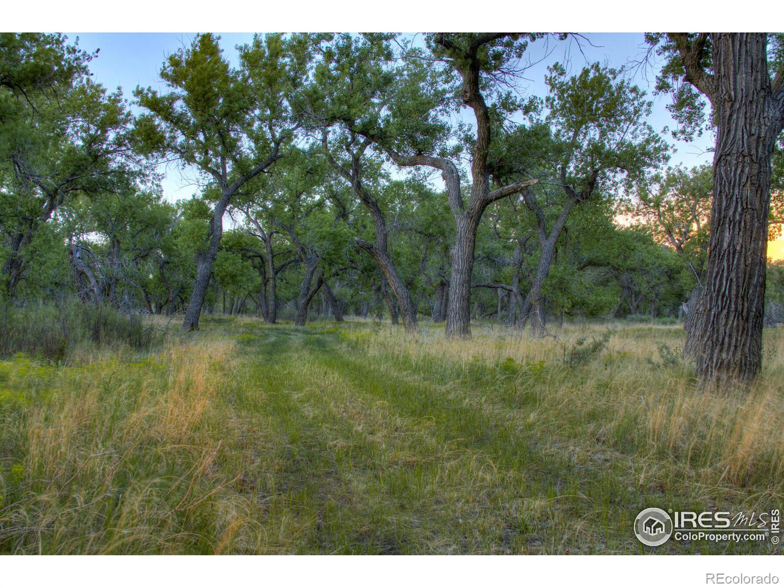 MLS Image #19 for 4790  county road xx ,weldona, Colorado