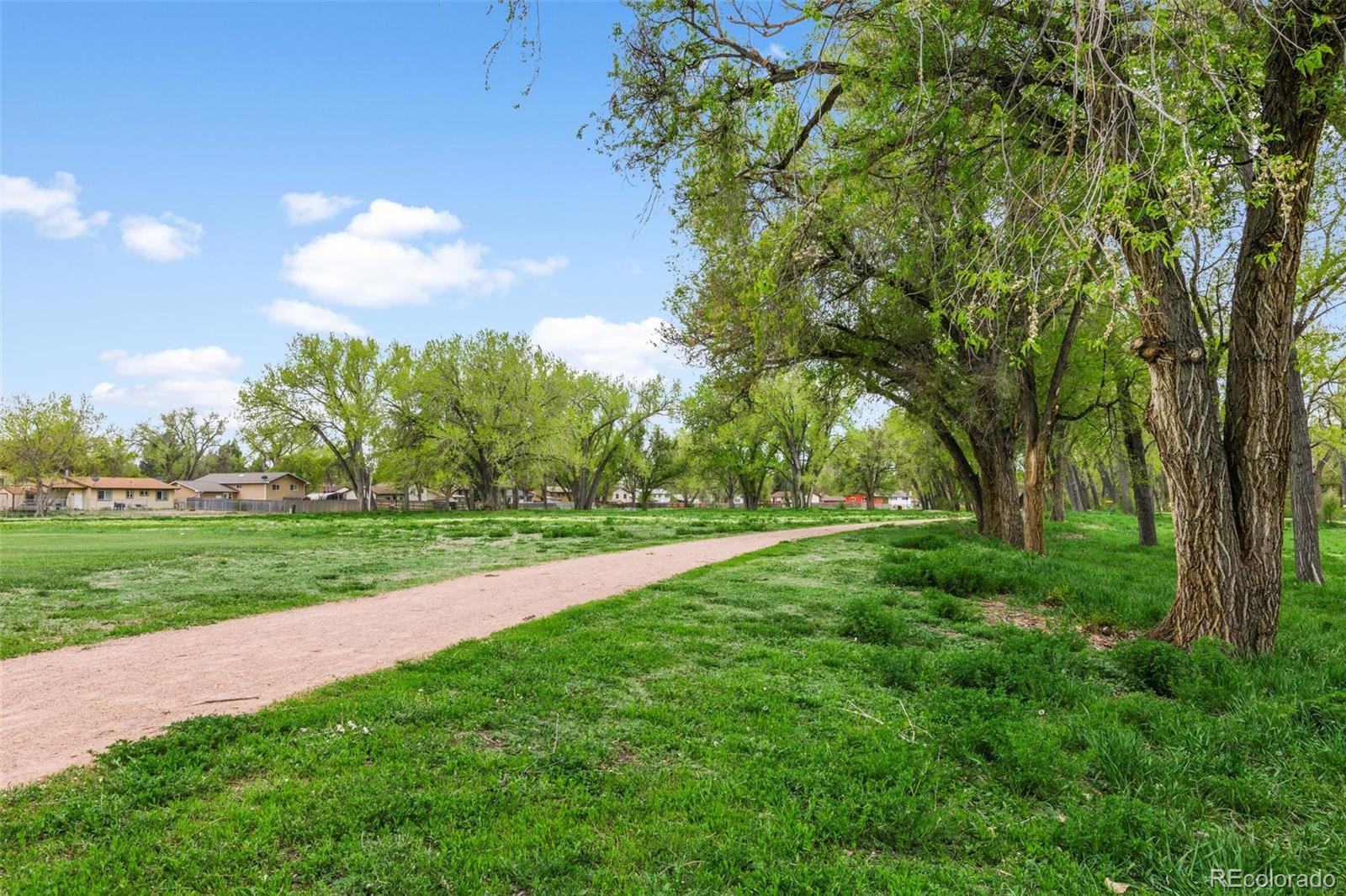 MLS Image #46 for 6755  metropolitan street,colorado springs, Colorado