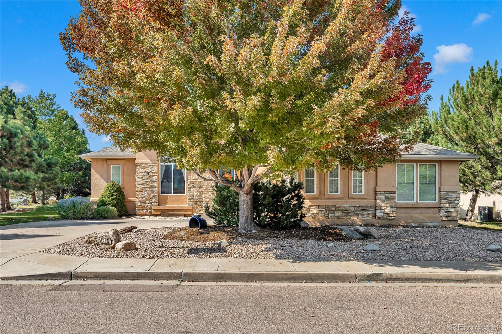 MLS Image #15 for 5610  mercer drive,colorado springs, Colorado