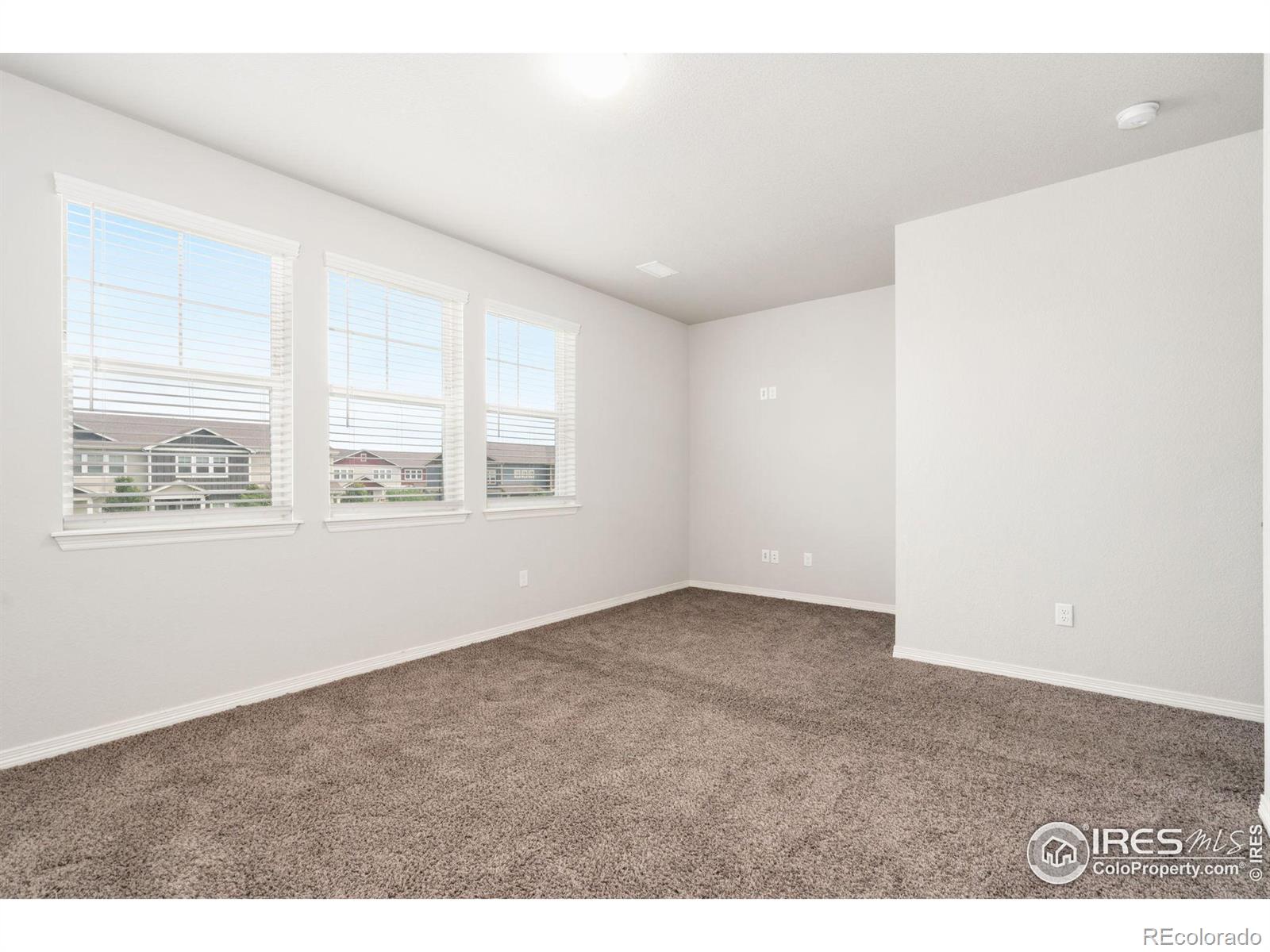 MLS Image #12 for 1691  grand avenue,windsor, Colorado