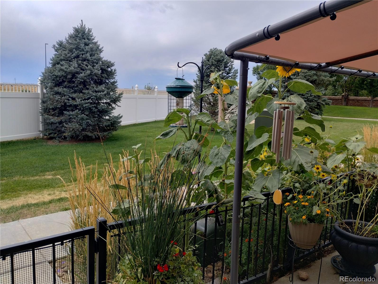 MLS Image #24 for 1833 s buchanan circle,aurora, Colorado