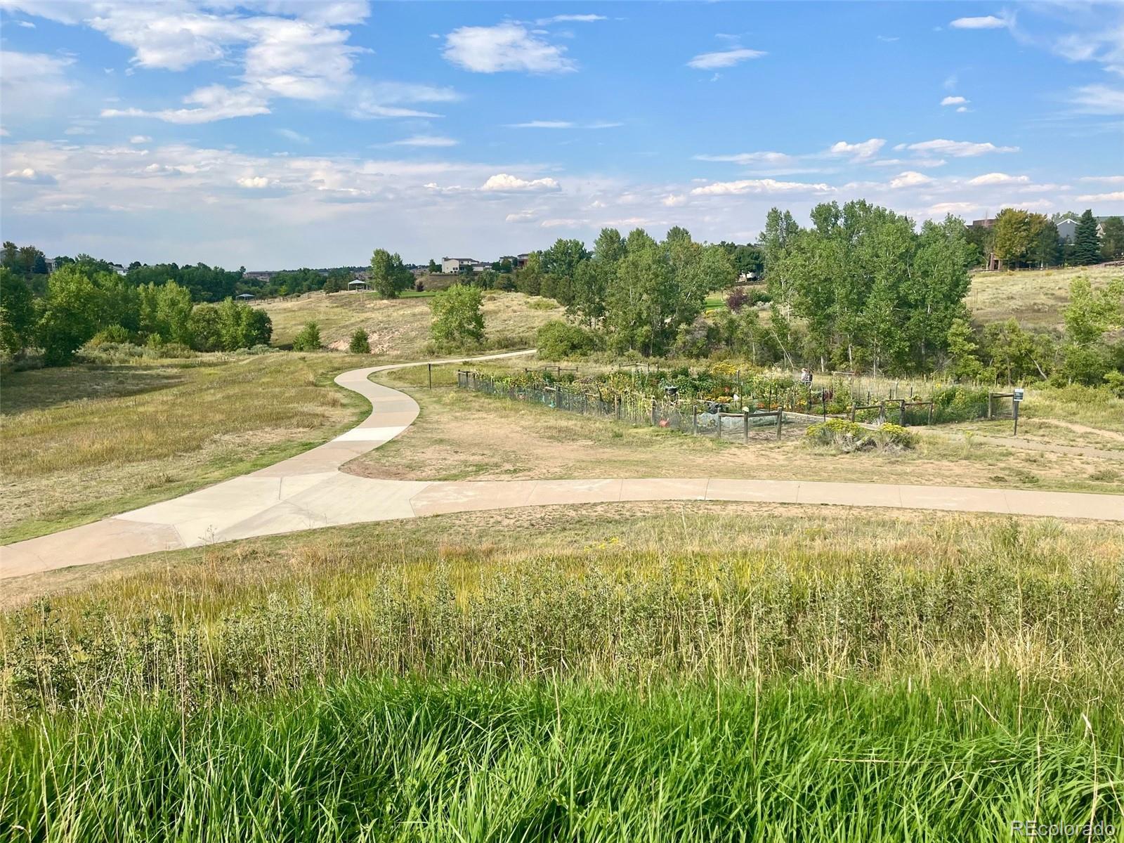 MLS Image #39 for 10094  wyecliff drive,highlands ranch, Colorado