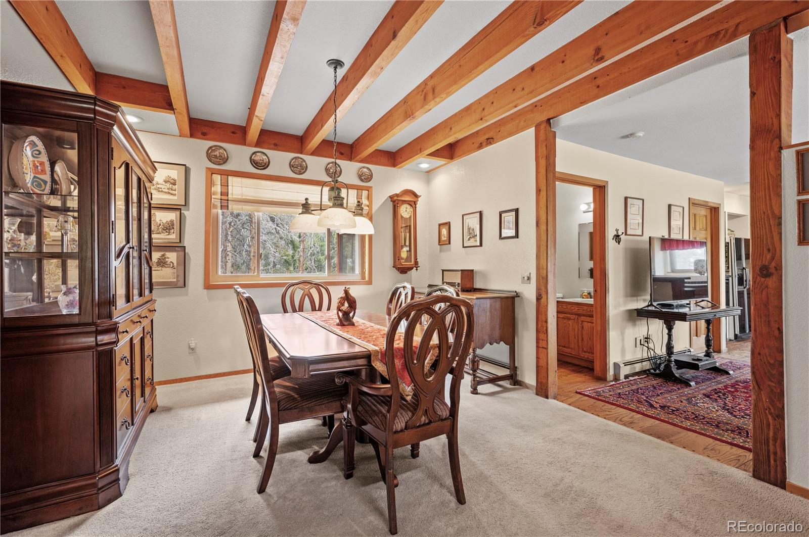 MLS Image #4 for 138  rudi lane,golden, Colorado