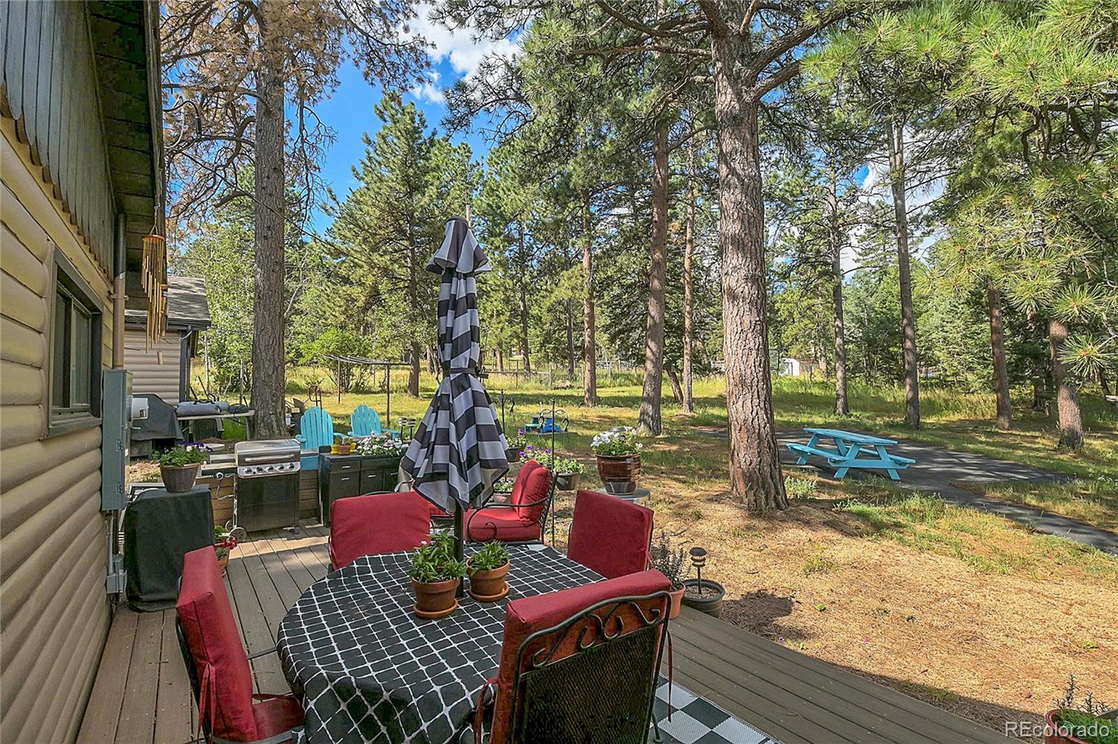 MLS Image #22 for 10011  renaud street,conifer, Colorado