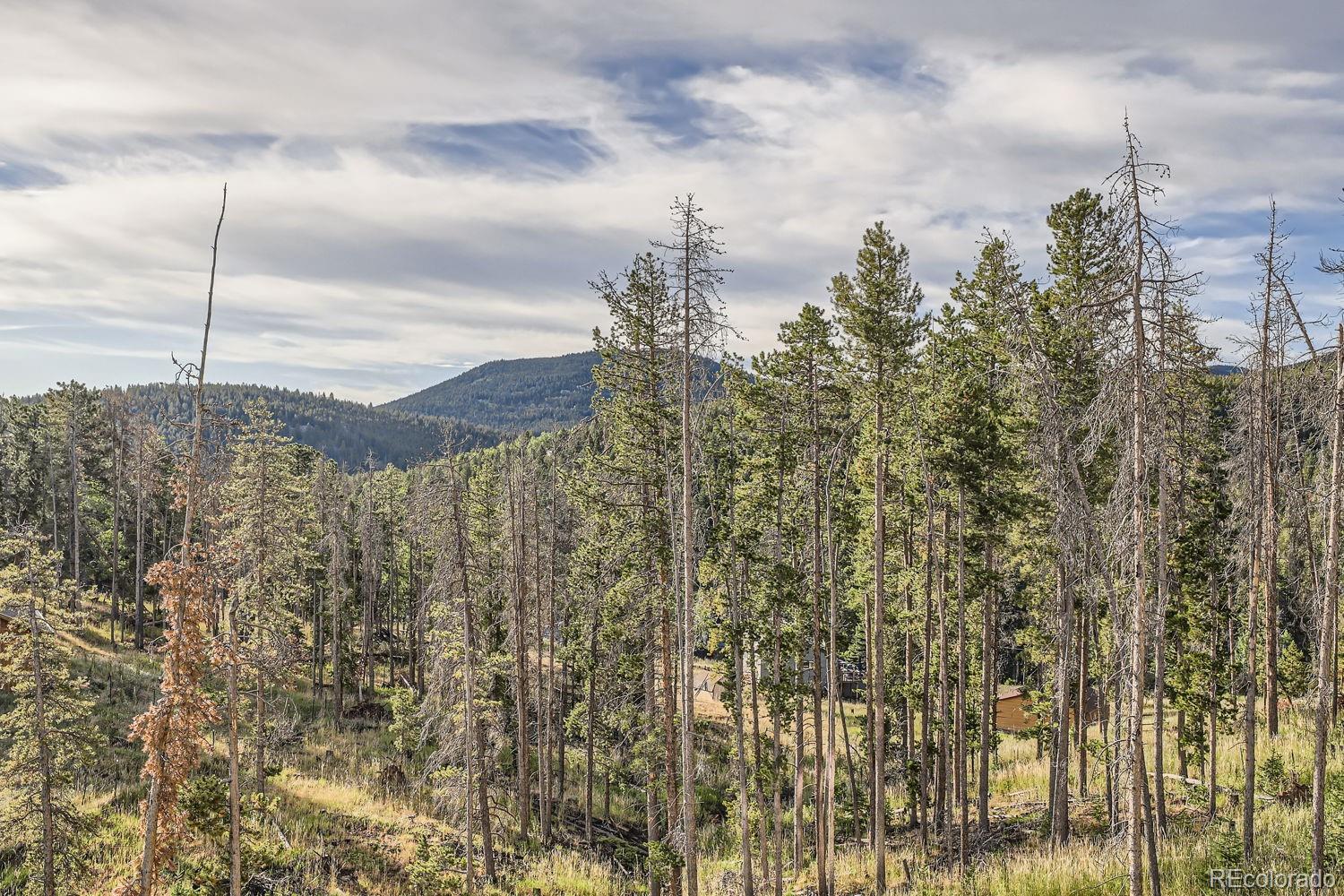 MLS Image #27 for 34877  forest estates road,evergreen, Colorado